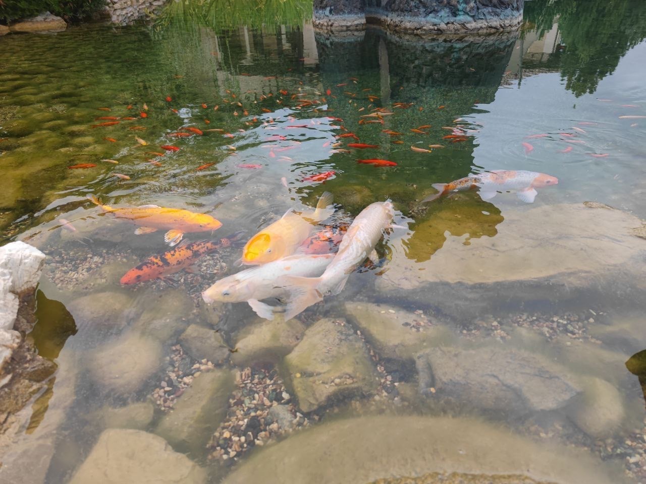  Водоемы с рыбами 