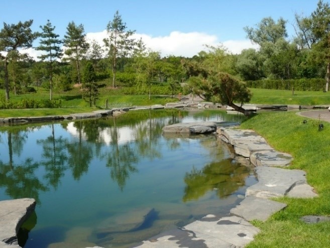 elevate_pondgard_sberbank_corporate_university_russia_credit_gk_globus_international_07